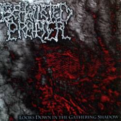 Exhausted Prayer : Looks Down in the Gathering Shadow Exhausted Prayer : Looks Down in the Gathering Shadow